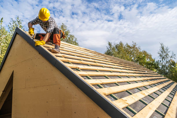 Best Roof Gutter Cleaning  in Midway, KY