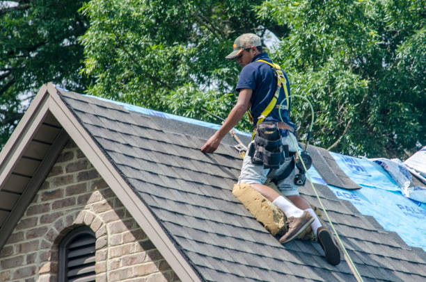 Best New Roof Installation  in Midway, KY
